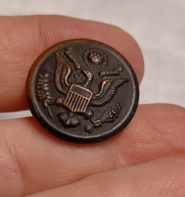 Antique WW1 U.S. Button (1901 - 1920) AM Button Co. Shield Raised