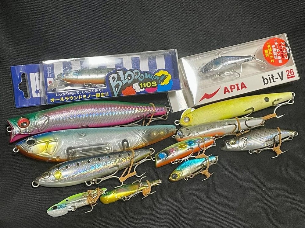 Seabass Lure 12 Set