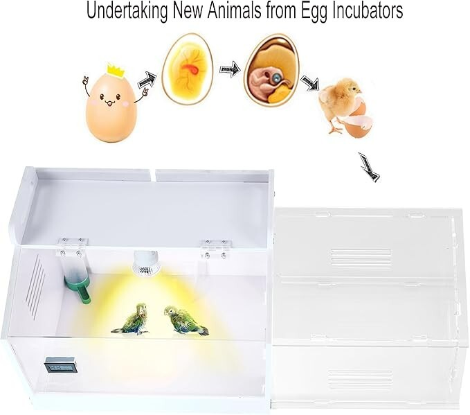 Iarge-Scale Chick brooder Box Quail Cage Egg Incubator Chick Starter Kit Chic...
