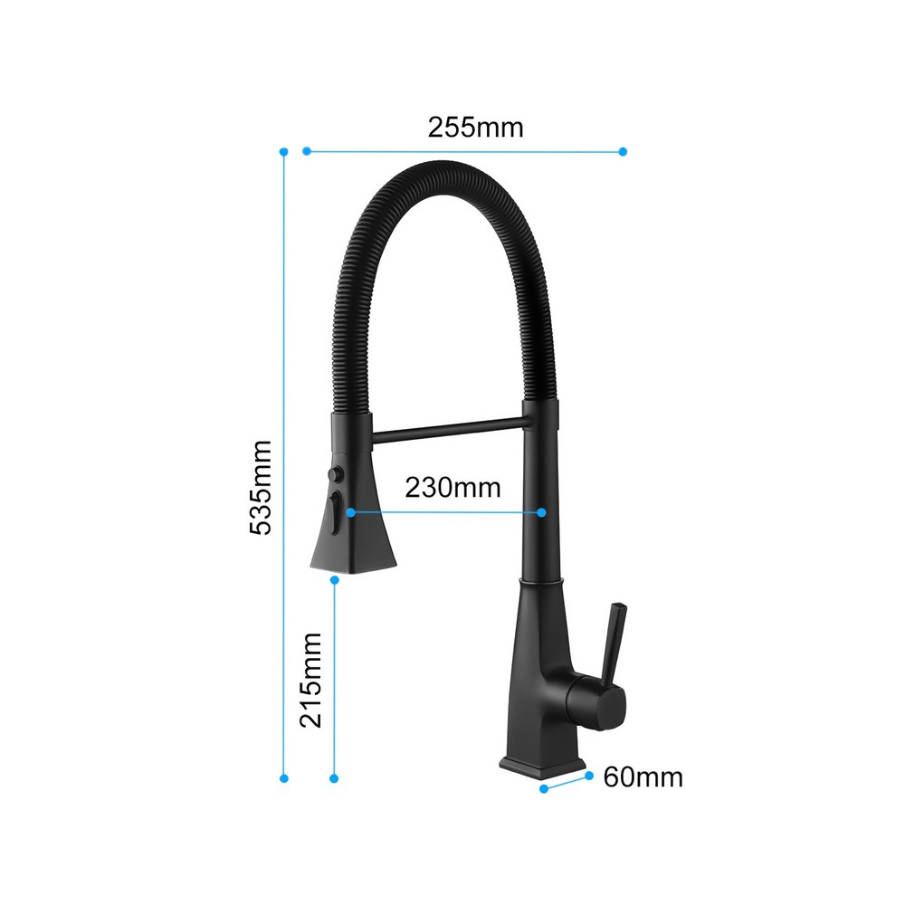 Pull-Out Spray Kitchen Faucet, High-Arc Single Handle 360° Swivel