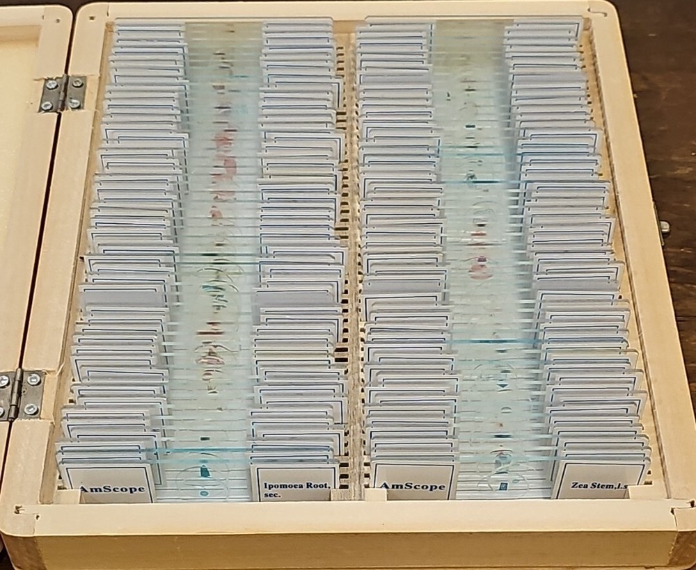 AmScope Prepared Slides - Box Of 50