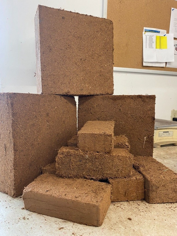 Coco Coir Large Block By The Worm Farm Durham CA