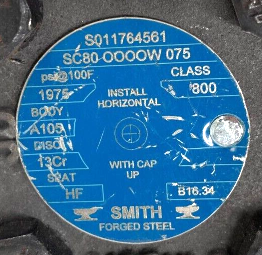Piston Check Valve 3/4" Class 800 Socket Weld Ends A105 Forged Steel API Trim 8