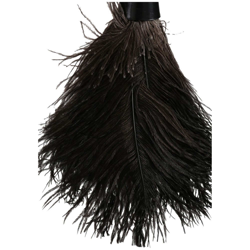EverClean Ostrich Feather Duster