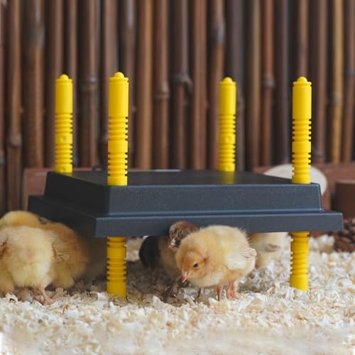 Eggluuz Chick Brooder Heating Plate, 12" x 12" Brooder Heater for Chicks with