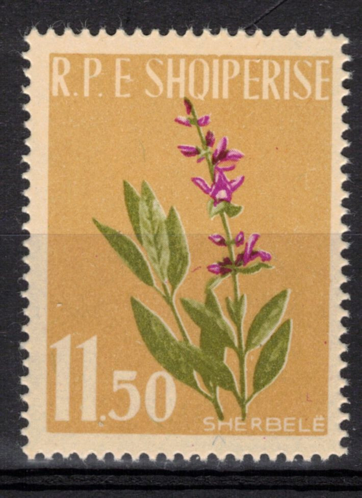 ALBANIA Scott 615 Mint NH