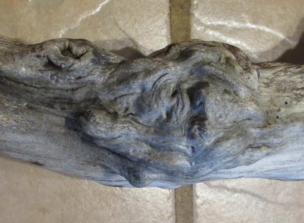 Maple Tree Knot for Decorating or Carving