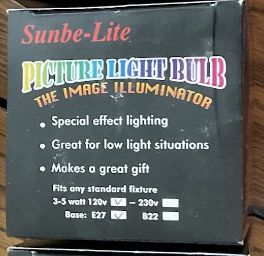 Sunbe-Lite Picture Filament light bulb 120v