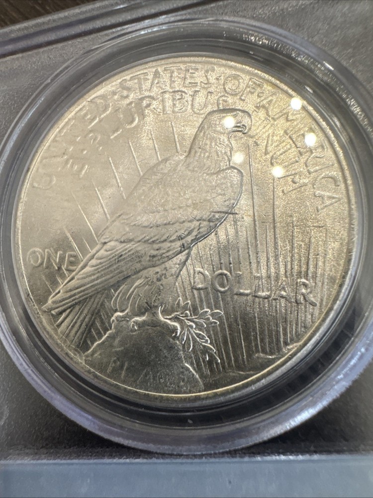 Peace Silver Dollar 1923 - 90% Silver Verified - PCGS MS64