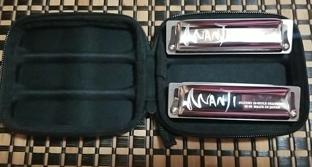 Harmonica 2 Pc Set Manti Suzuki 10 Hole Low C & D With Carry Case