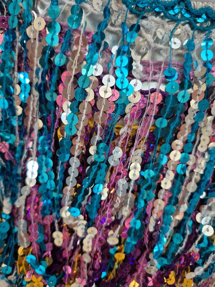 Multi colored sequined dance costume
