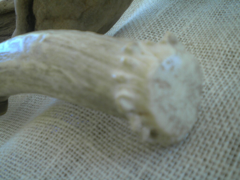Indian Ridge Knife, Sheffield England