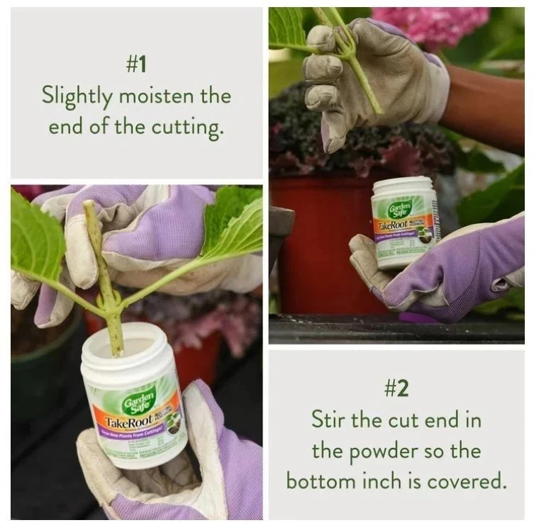Garden Safe Take Root Rooting Hormone, 2-Ounce