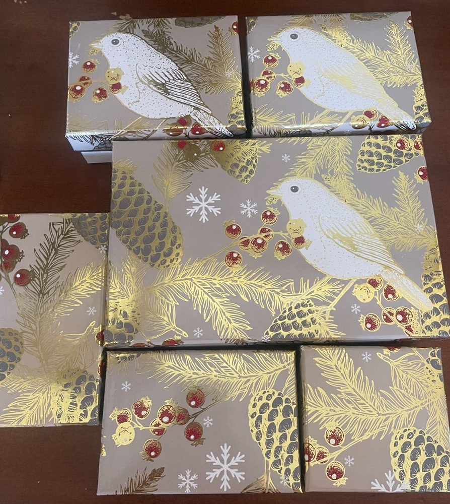 The Fruit Company (8) Decorative Gift Boxes Christmas Birds Pinecones EMPTY