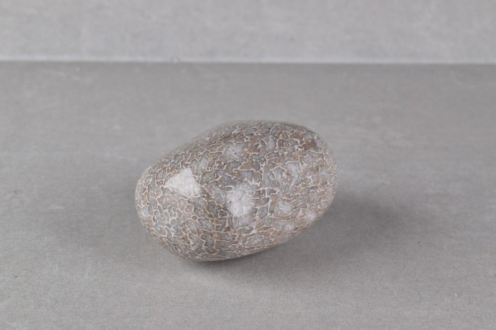 Dinosaur Bone Polished from Morocco 4.2 cm # 19756