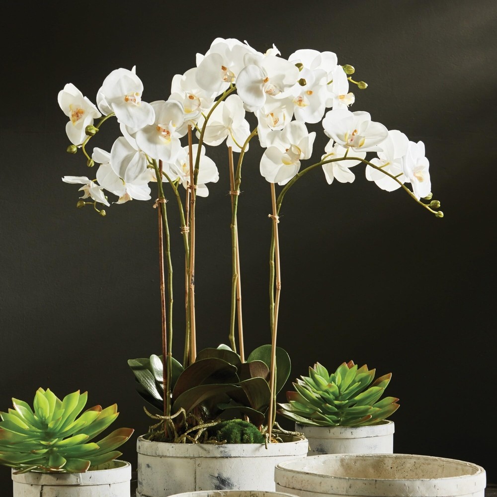 Orchid Bowl Drop-in 25" White