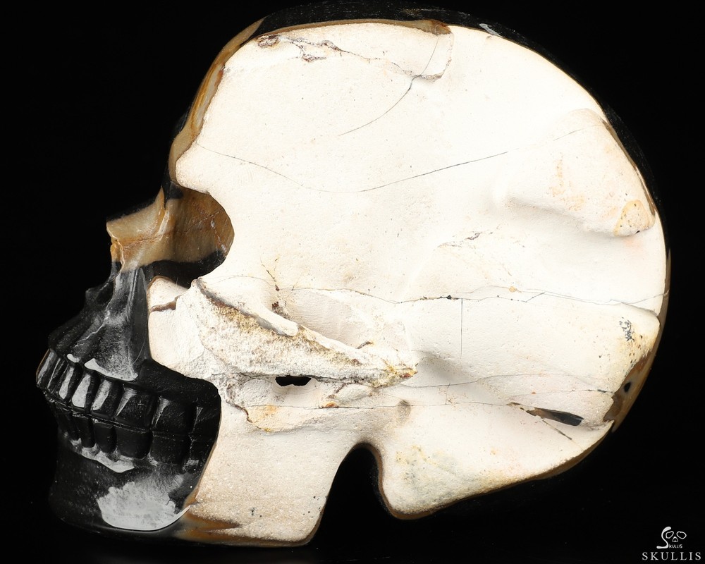 5.0" Black Agate Carved Crystal Skull, Realistic, Crystal Healing
