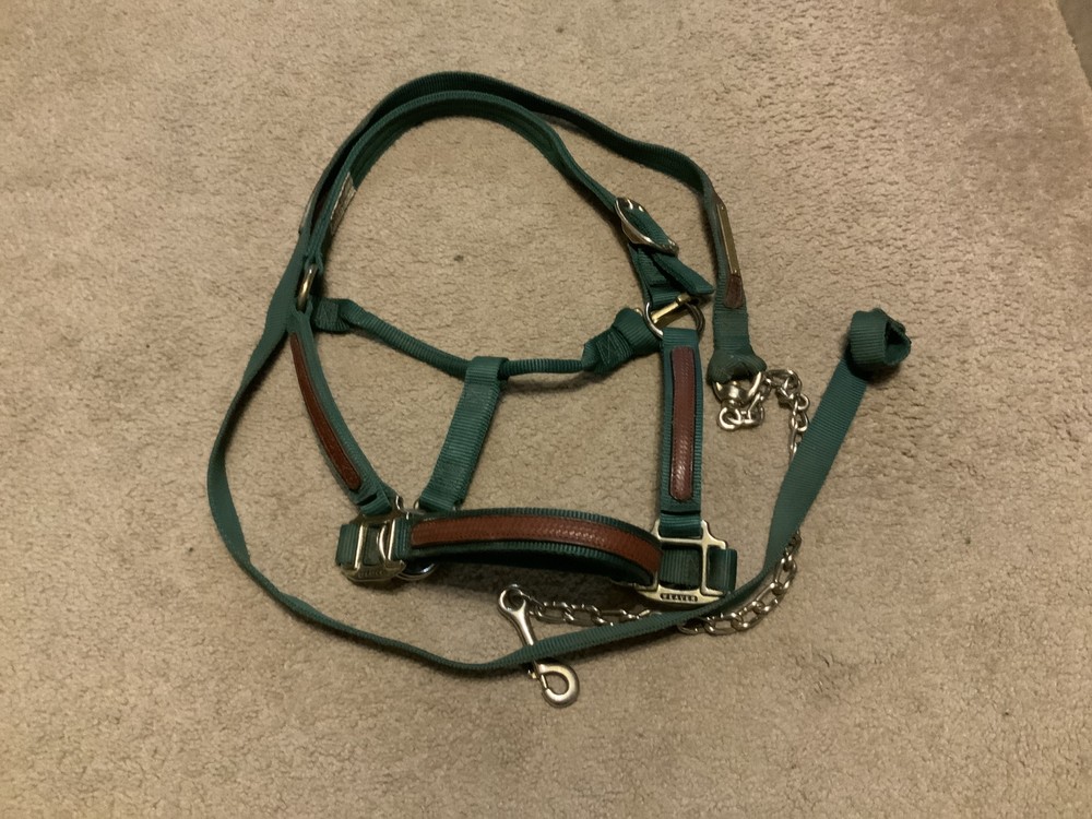 Weaver Halter and Lead Green Cob