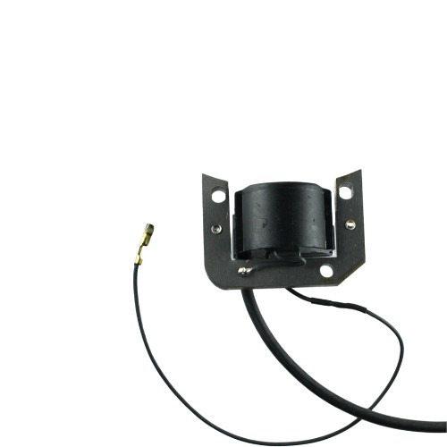 ELECTRONIC CONTROL UNIT COIL ENGINE MINARELLI I150 JLO 152 CM 152