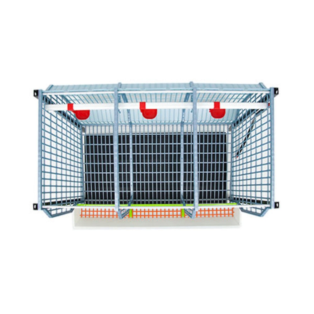 Chicken Cage - 1 Layer H: 22"