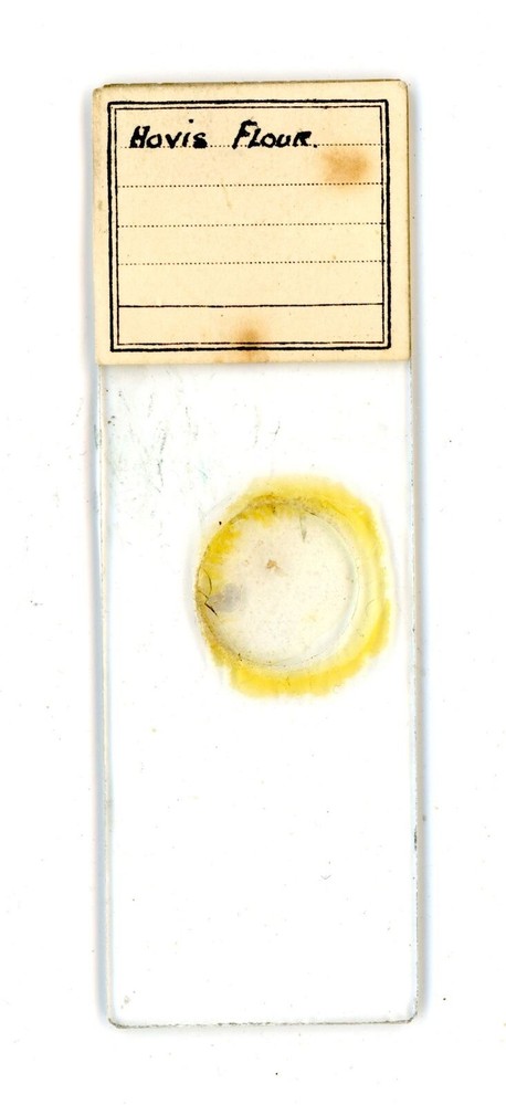 Vintage glass Microscope slide Hovis Flour #1