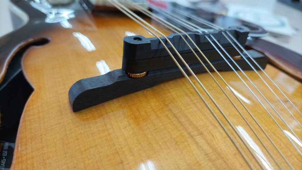 ORTEGA RMFE90TS Mandolin