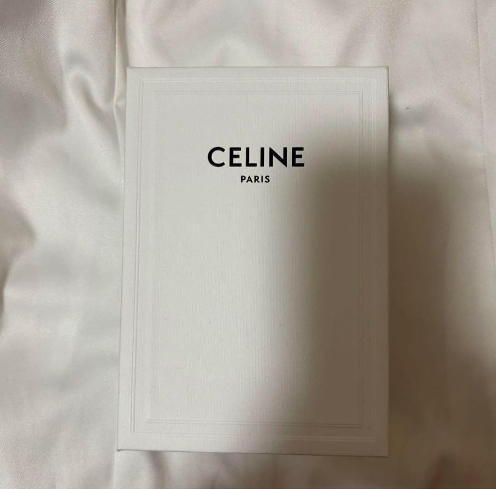 CELINE Small Wallet Triomphe From Japan