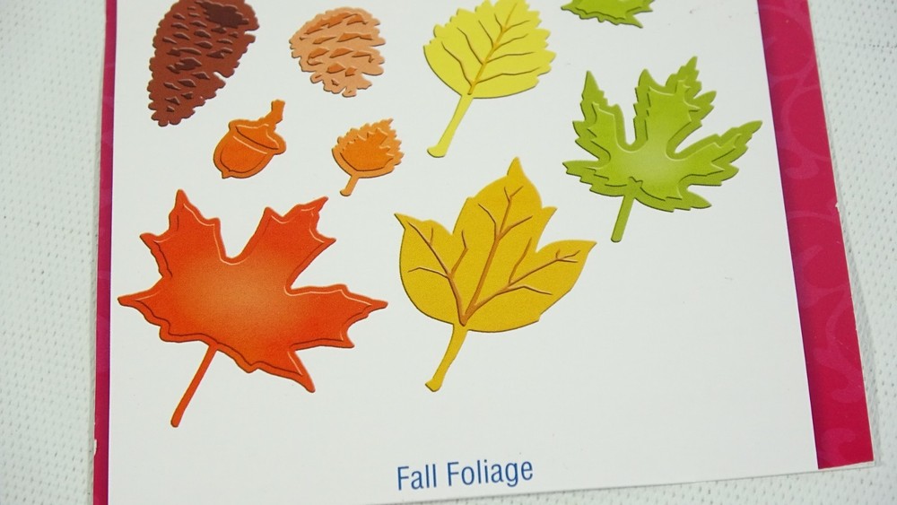 Spellbinders Shapeabilities Fall Foliage Craft Dies S5120