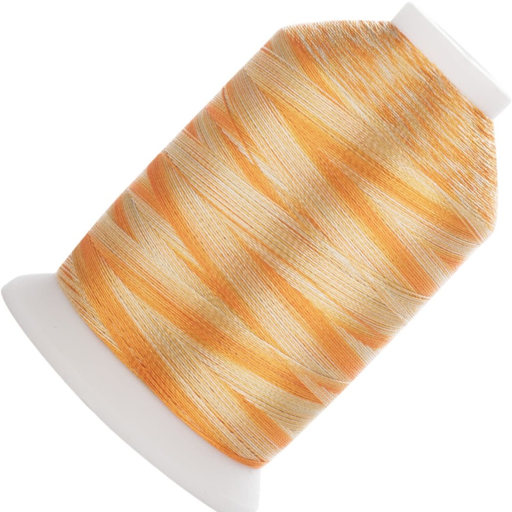 Variegated Polyester Embroidery Thread 5500Yards S149