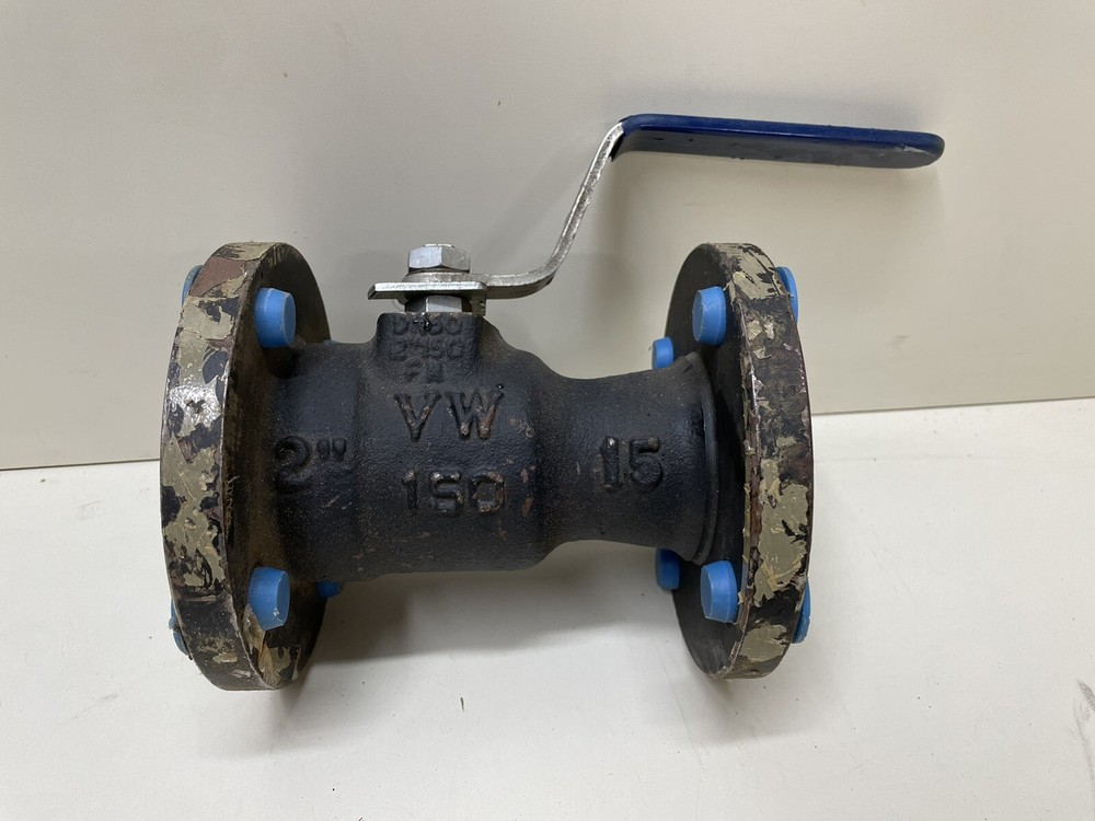 WM. POWELL CLASS 150 SWING CHECK VALVE FREE SHIPPING
