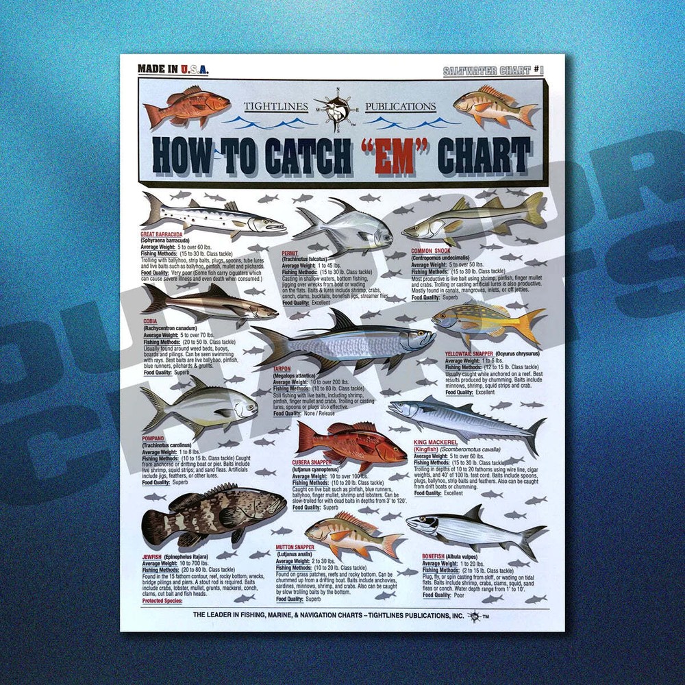 Saltwater Chart Set