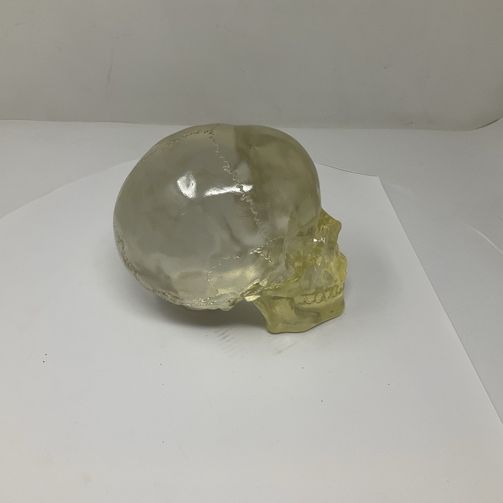 Summit Translucent Skull Head Collectible 2007 Heavy Solid Decoartion 6"