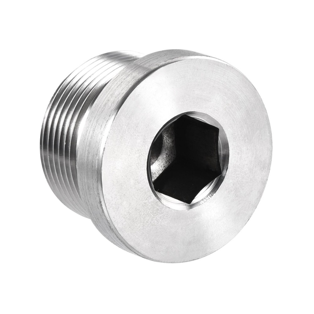 Stainless Steel Inner Hex Head M27x1.5 Pipe Fitting Plug