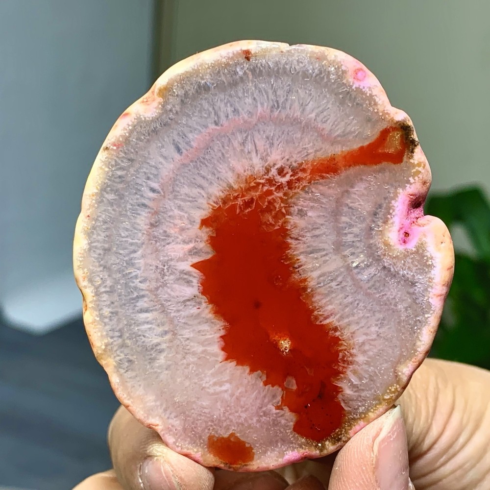 42G Natural Beautiful Agate Geode Druzy Slice Extra Large Gemstone