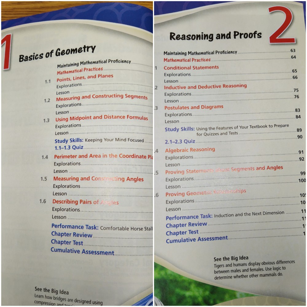 BIG IDEAS MATH Geometry: Common Core Student Edition 2015 9781608408399