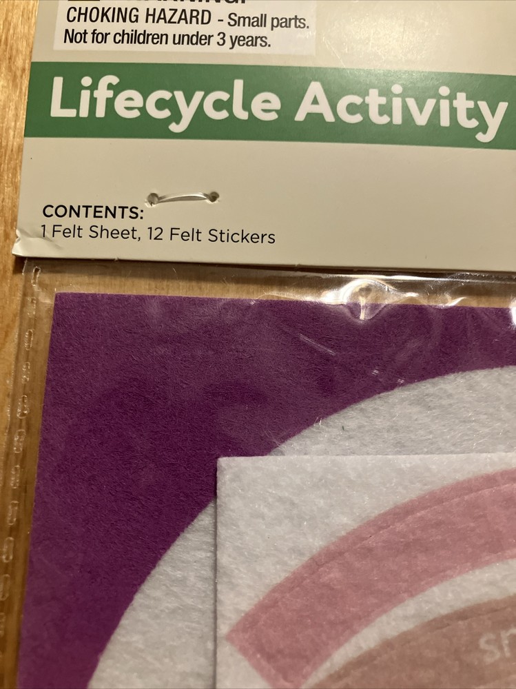 Lifecycle Activity Kit 13 Felt Pieces