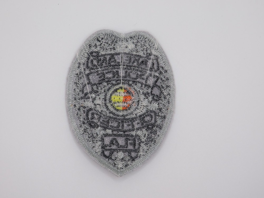 Lakeland Florida Police Dept Patch