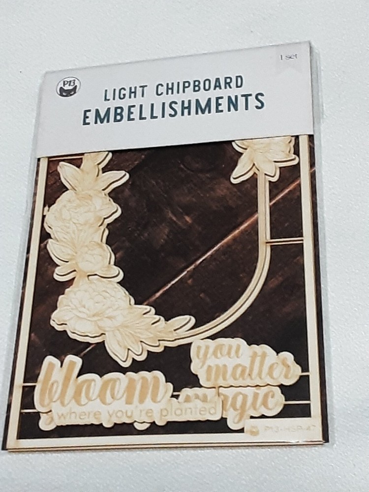 P13 Light Chipboard Embellishments Bundle 11 asst 4x6" frame w/engraved pieces