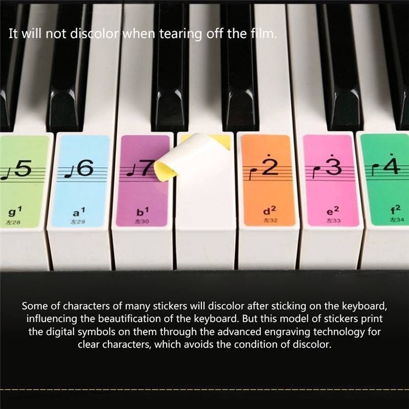 1 Set Beginner's Piano Sticker 88-Keys Electronic Keyboard Note Removable