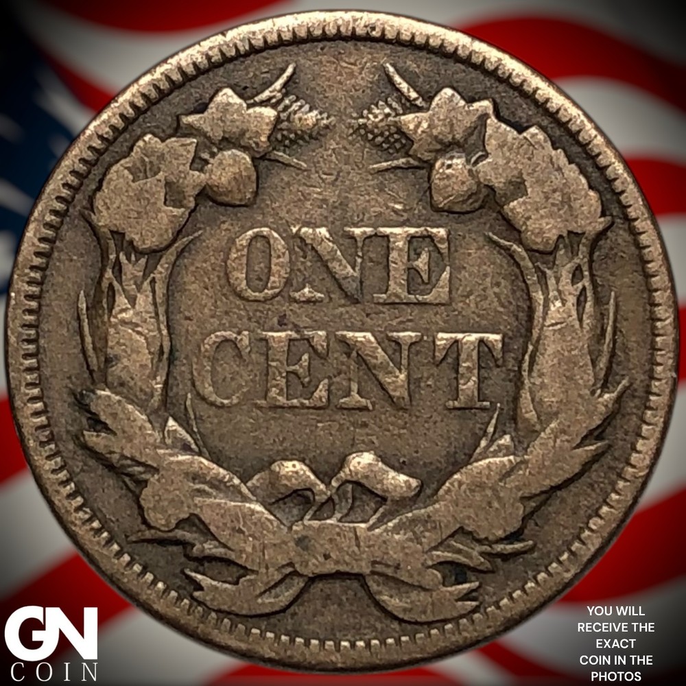 1857 Flying Eagle Cent Penny Z3541