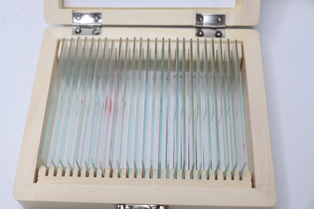 (25-Pk) Basic Prepared Slide Set SLD025-SET/25