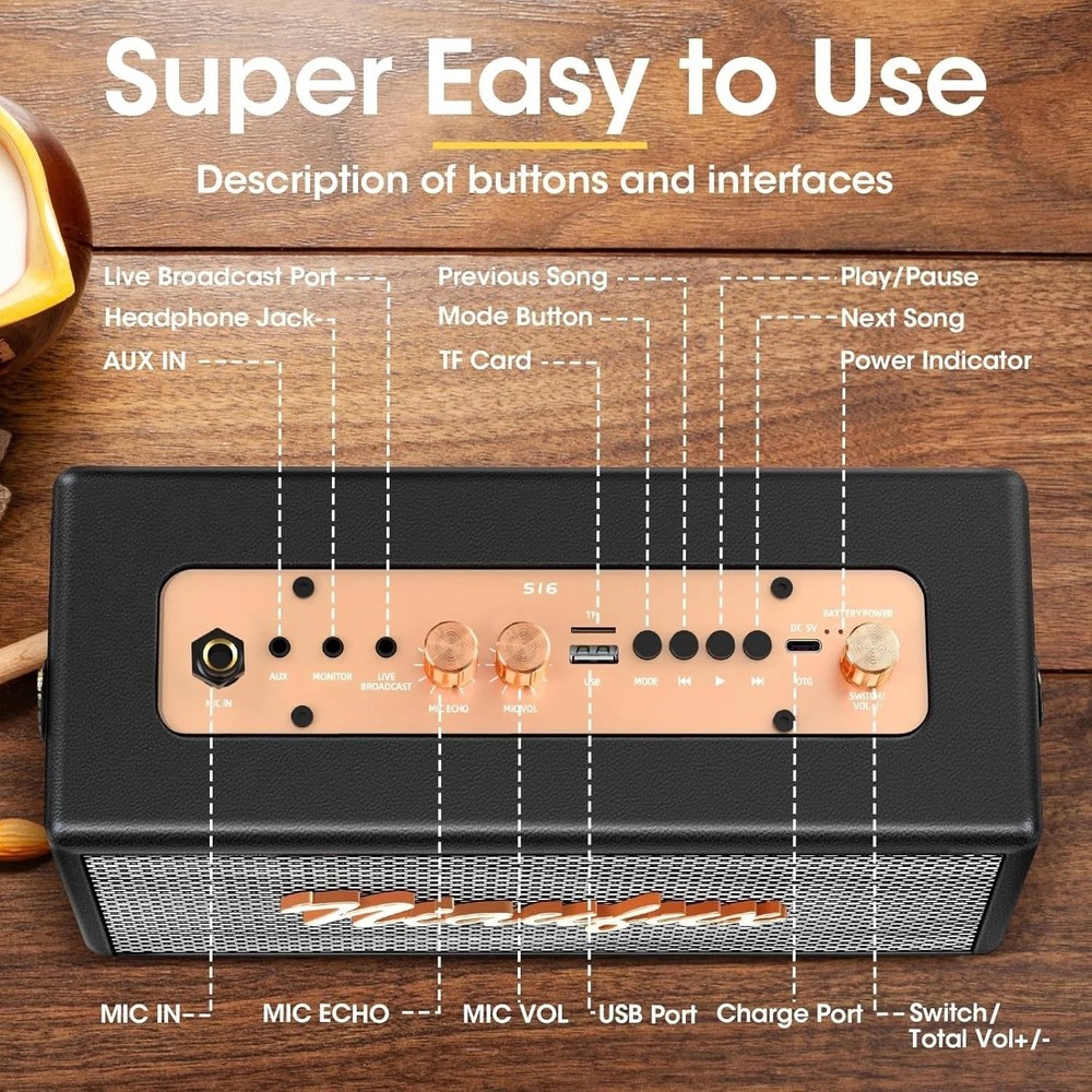 Portable Karaoke System with 2 Microphones