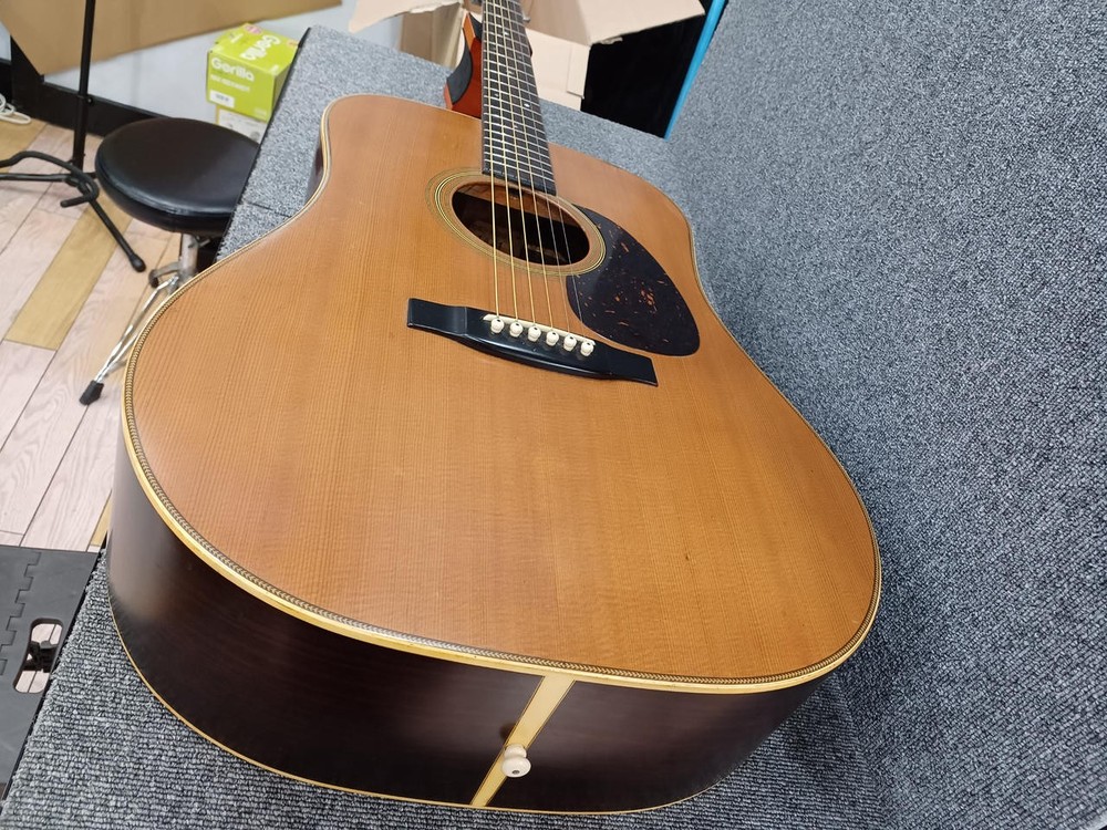 CATS EYES CE-800 Acoustic Guitar
