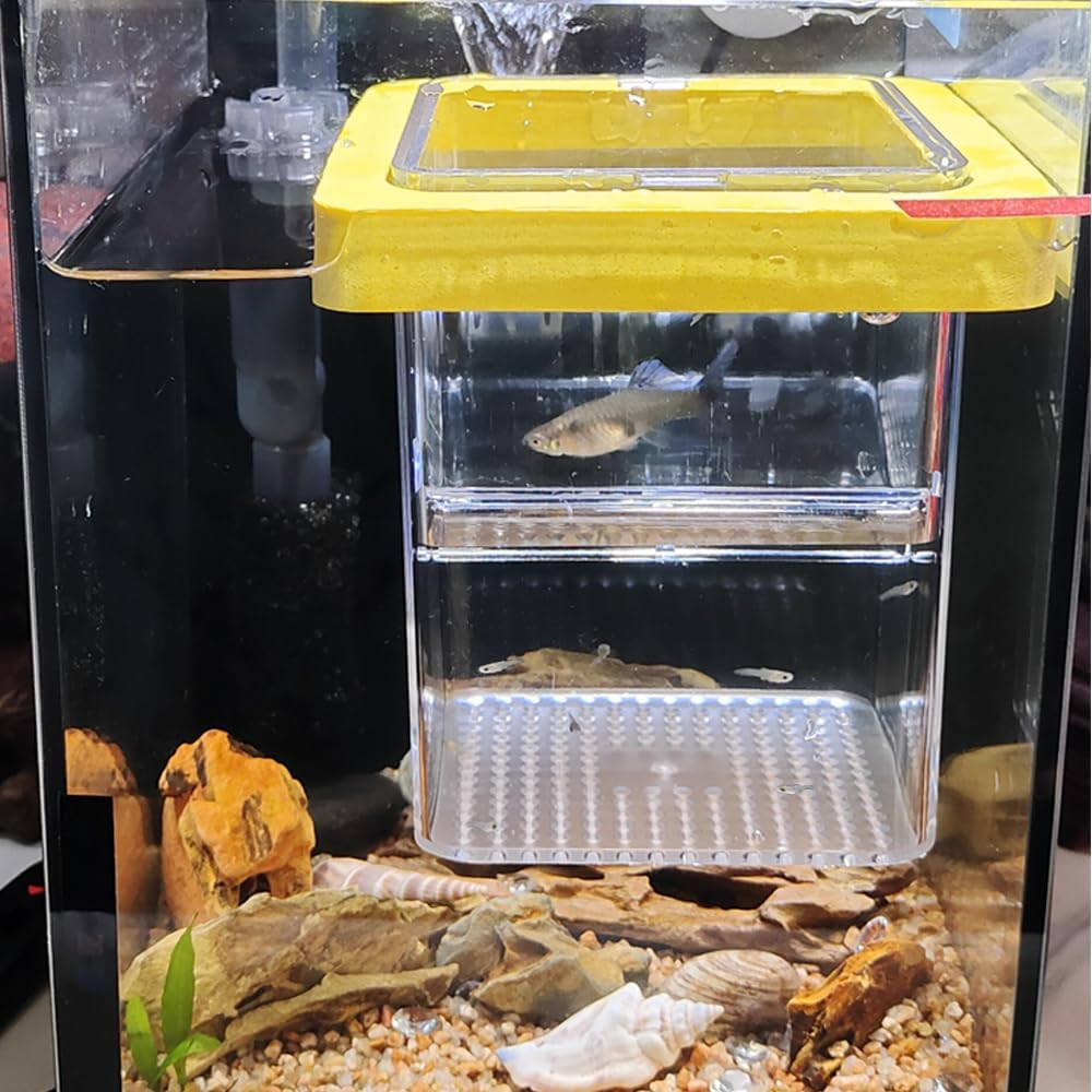 1 Pack Floating Fish Breeding Isolation Box Acrylic Floating Hatching Box for Ba