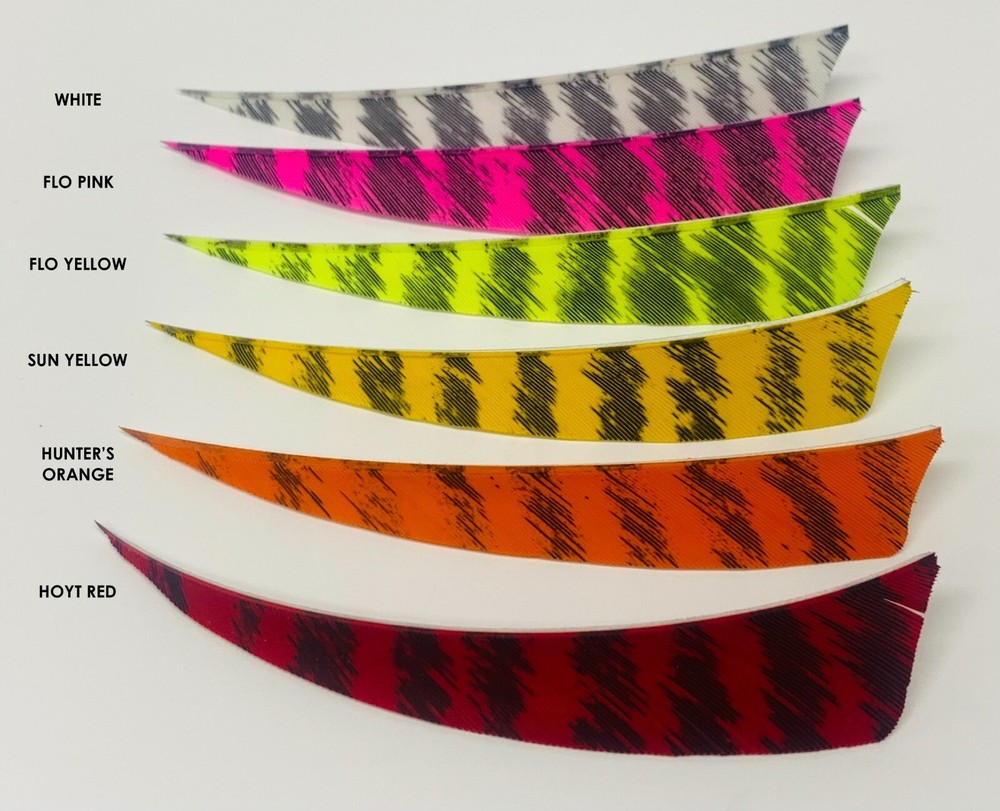 Ozark 4" Shield Left Wing or Right Wing Barred Feathers - 1 Dozen