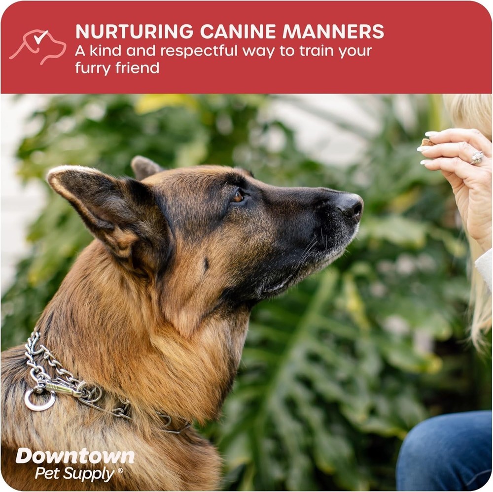 Chrome Plated Adjustable Prong Collar for Dogs 20-40 lbs: No-Pull Training