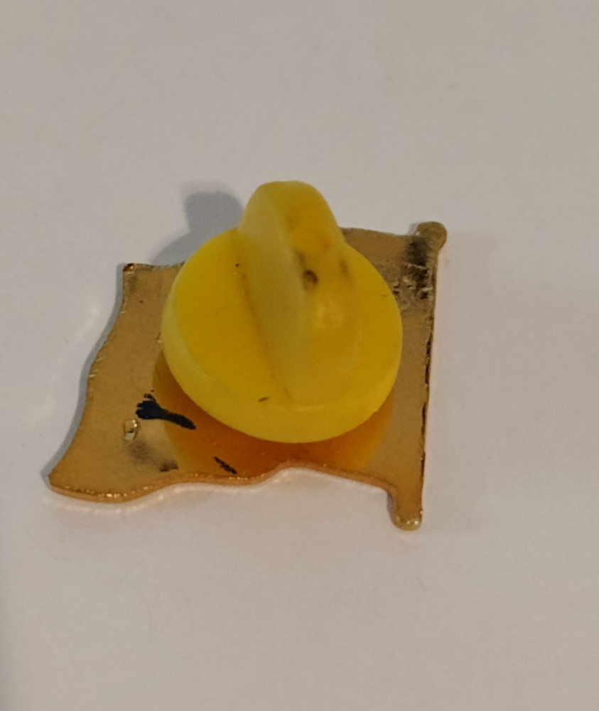 Washington DC Flag Pin