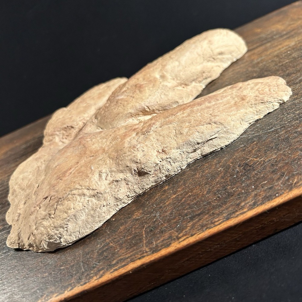 Vintage Dinosaur Footprint Plaster Cast Mold PRIORITY MAIL