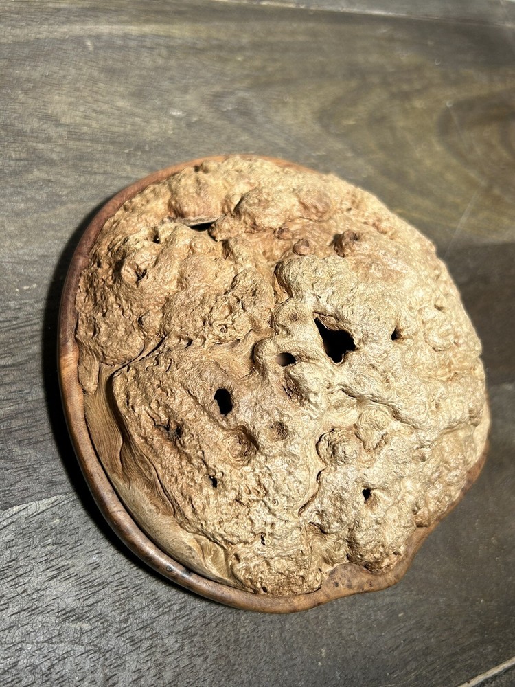 Tree burl handmade incense burner