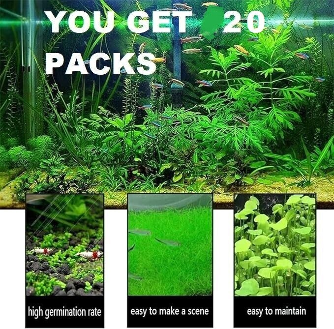 Aquarium Small Leaf Grass (20 Packs)